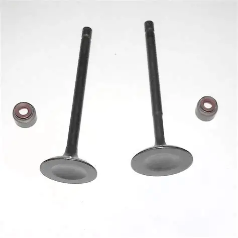 ENGINE VALVE KIT