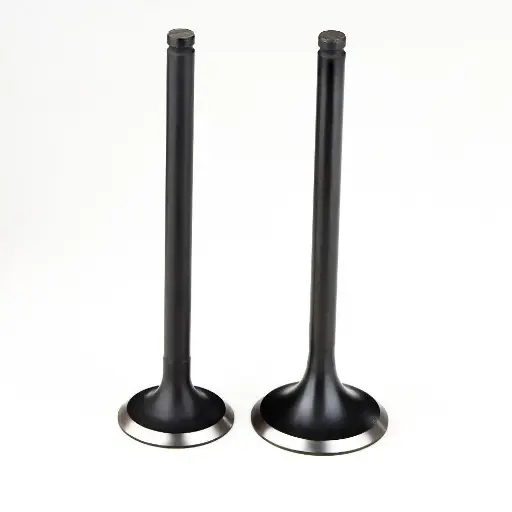 [M1010550] VALVE INTAKE