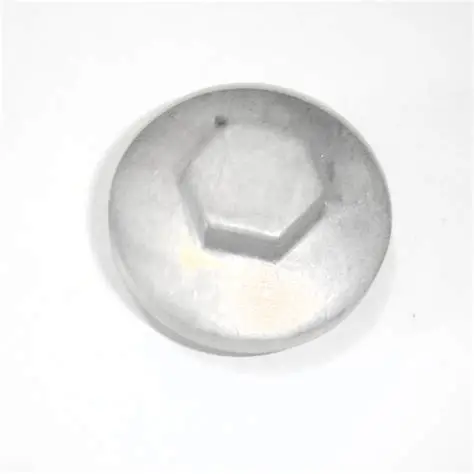 [R1011010] CAP INSPECTION HOLE