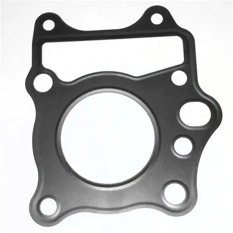 [R1011050] GASKET CYLINDER NEO